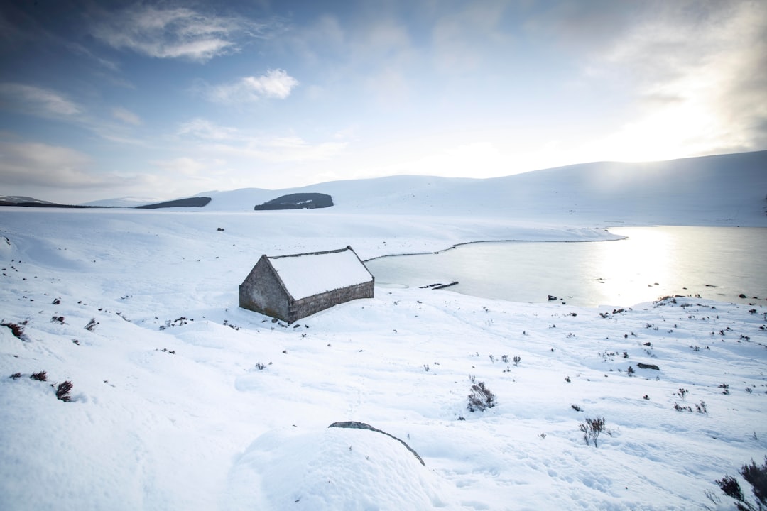 Icehouse: Die Australische Band, Die Die Welt Eroberte - Midlothian | Secret World Trip Planner
