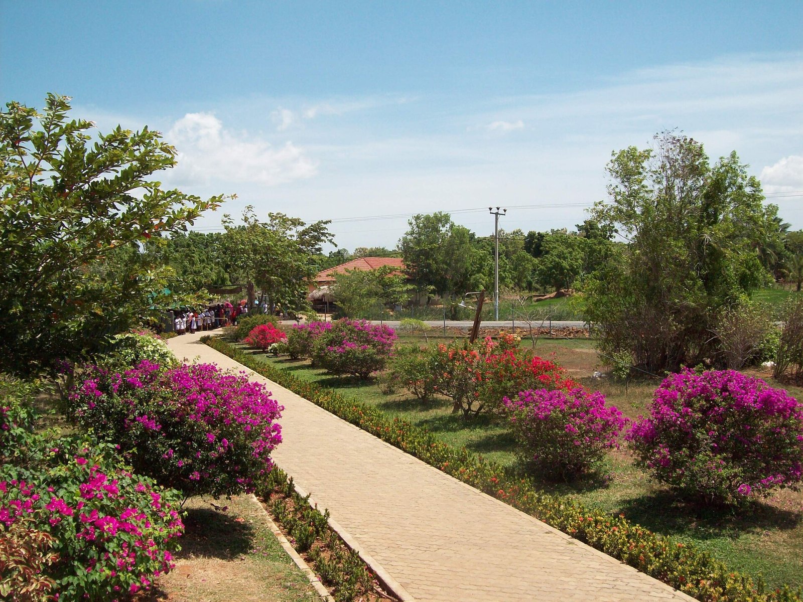 Madunagala: A Hidden Gem of Nature in Sri Lanka - Sooriyawewa | Secret World Trip Planner