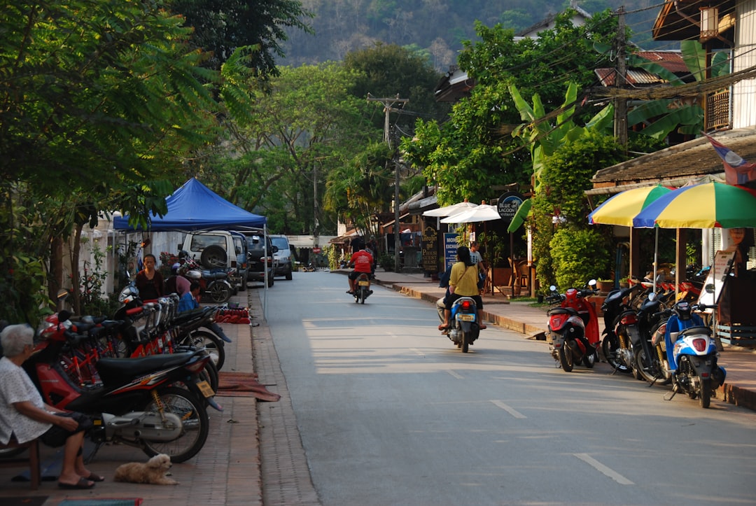 Nam Ha: Trekking im Bergwald von Laos - Ban Nam Sing Noi | Secret World Trip Planner