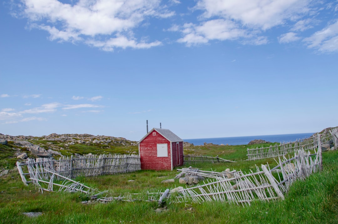 Der Leuchtturm von Cape Bonavista: Geschichte und Puffins — Bonavista