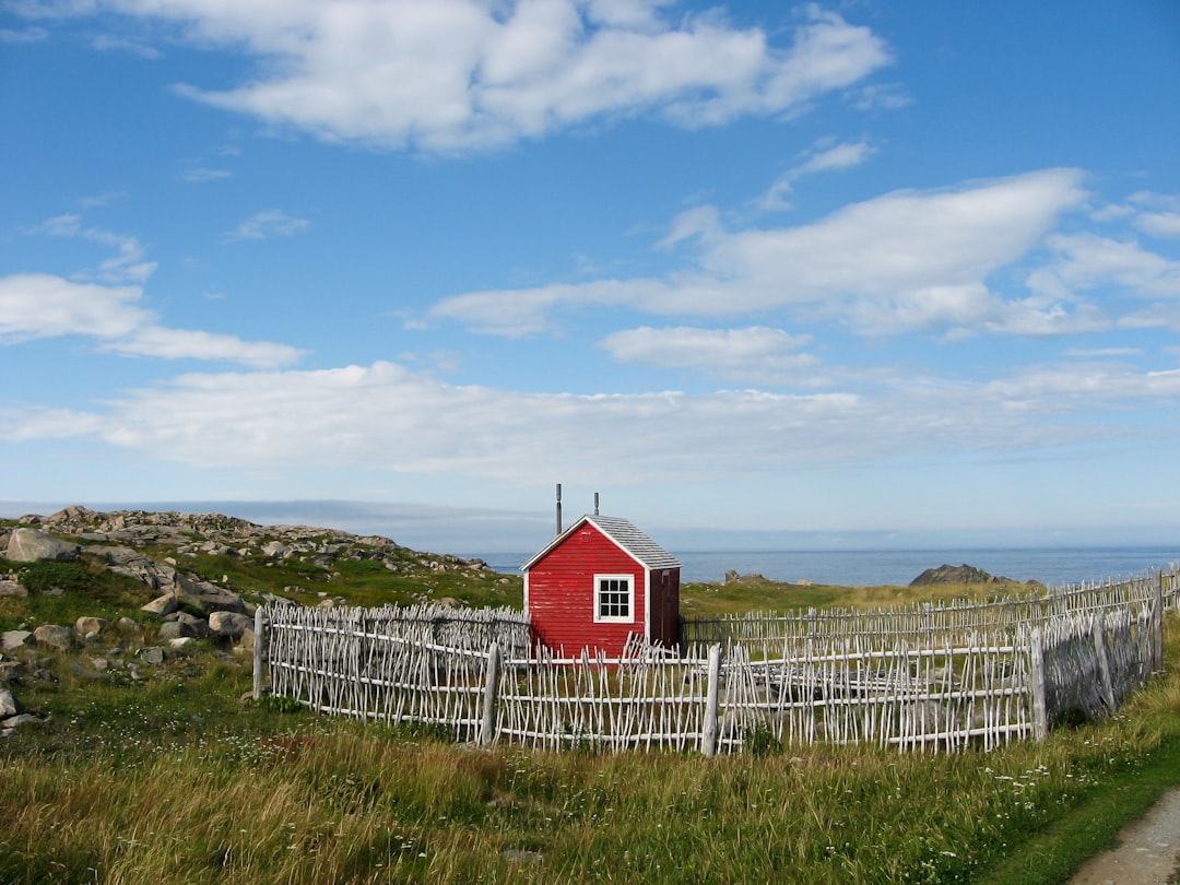 Der Leuchtturm von Cape Bonavista: Geschichte und Puffins - Bonavista | Secret World Trip Planner