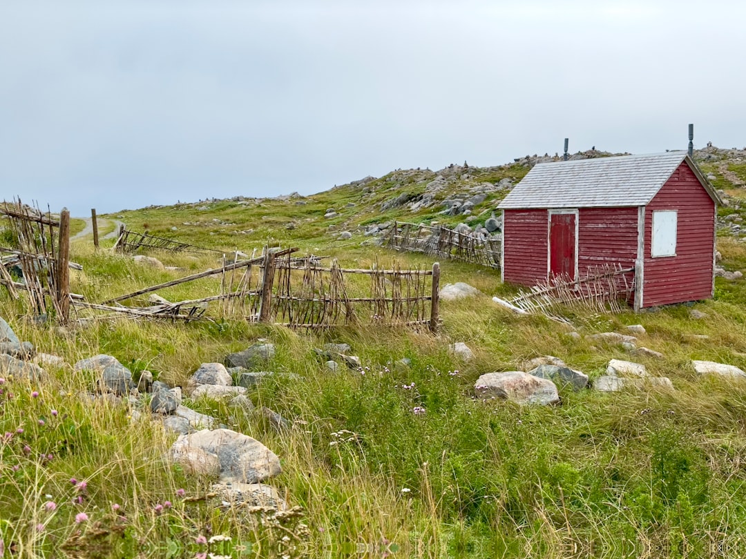 Der Leuchtturm von Cape Bonavista: Geschichte und Puffins - Bonavista | Secret World Trip Planner