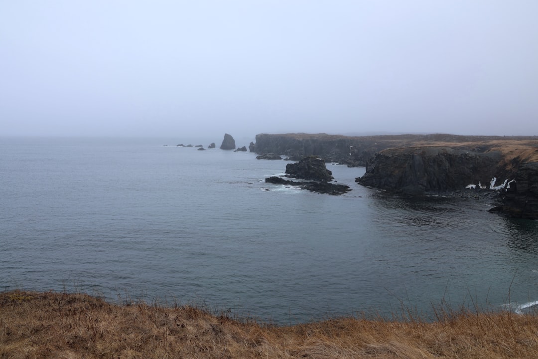 Der Leuchtturm von Cape Bonavista: Geschichte und Puffins - Bonavista | Secret World Trip Planner