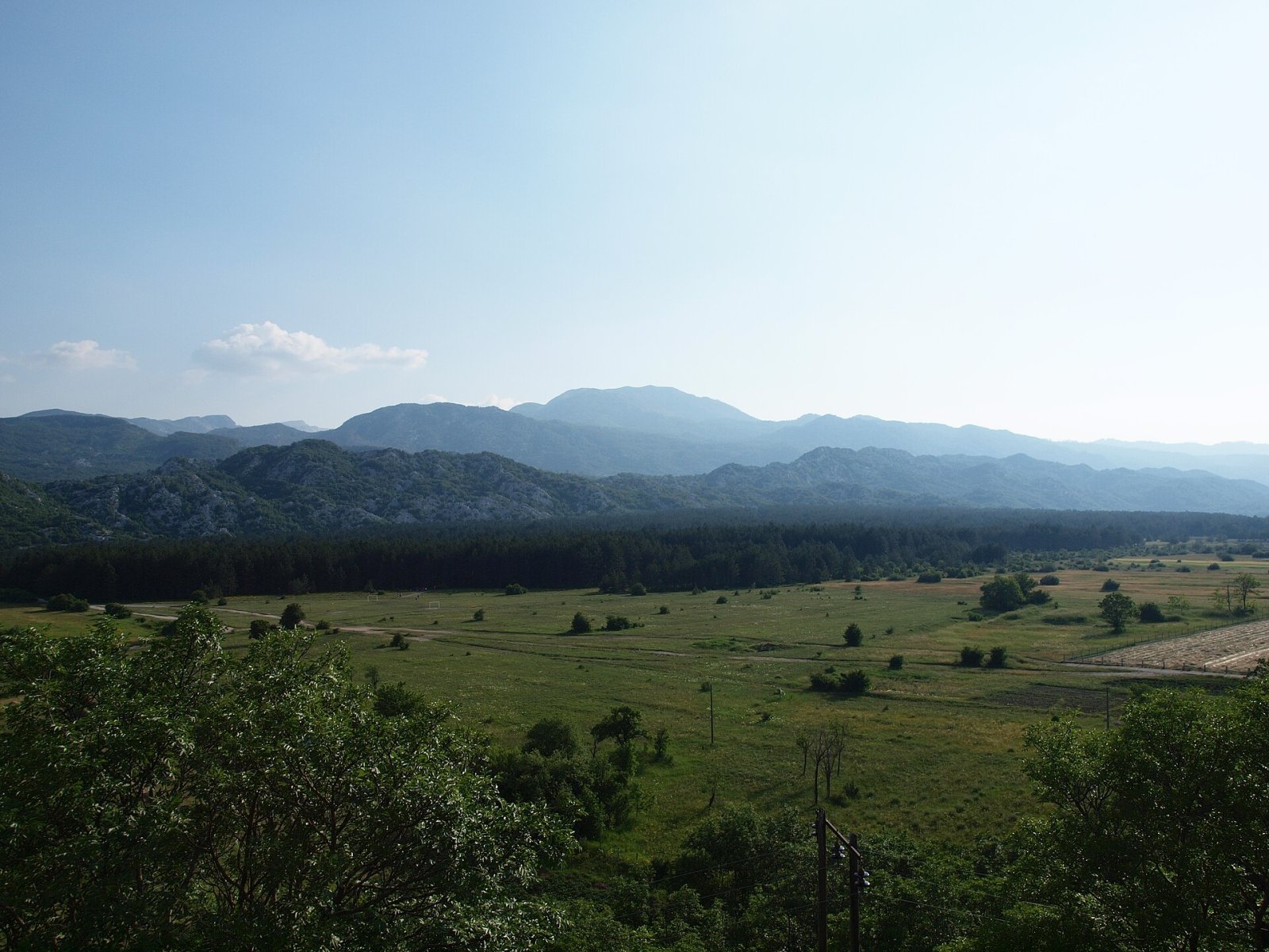 Scopri Pusti Lisac: un angolo di natura incontaminata in Montenegro - Brestice | Secret World Trip Planner