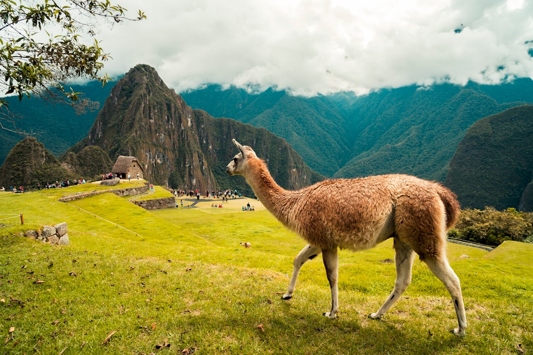 Discover Qullqip'ukru: A Gem of the Peruvian Andes | Secret World Trip Planner