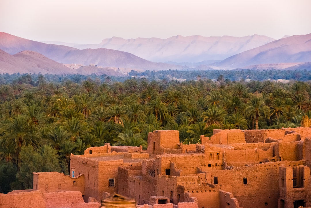 Discover Jebel Igardane: A Natural Paradise in Morocco