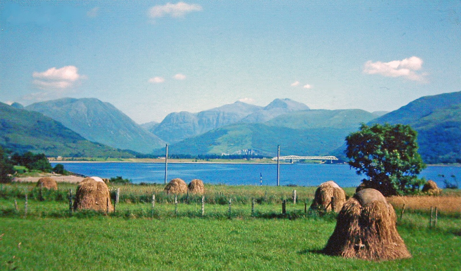 Sgor nam Fiannaidh entdecken: Ein unberührter Naturwinkel in Schottland — MXH7+Q4 Ballachulish