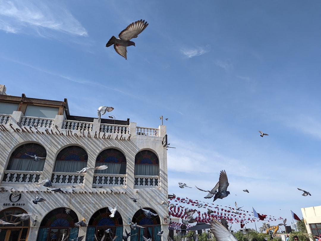 Souq Waqif: The Historic Market in Doha's Heart - Doha | Secret World Trip Planner