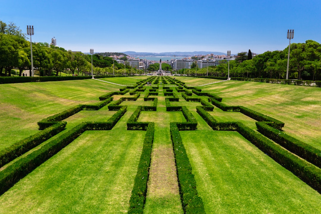 Crystal Palace Gardens: Aerial Views of Porto — R. de D Manuel II
