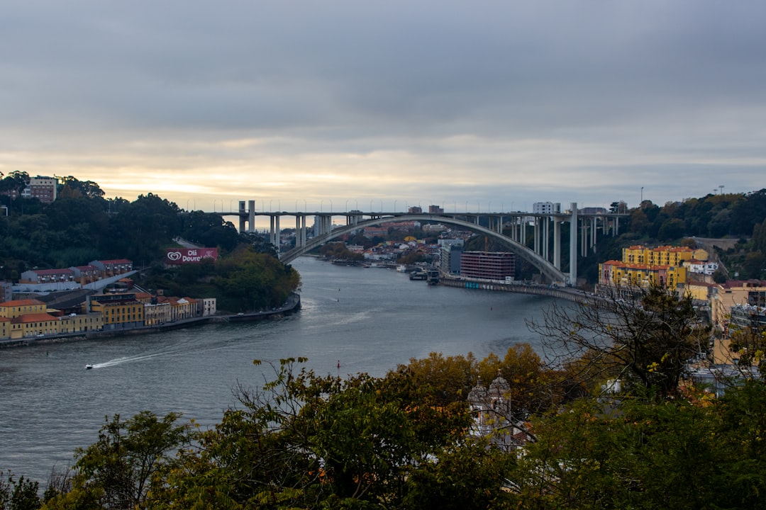 Palácio de Cristal: Porto aus der Vogelperspektive - R. de D Manuel II | Secret World Trip Planner