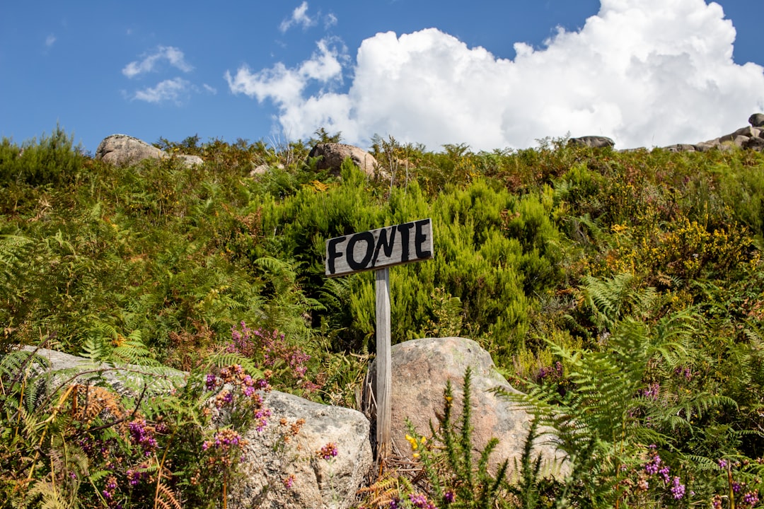 Pointe du Bout Lighthouse: Iron and Coral in Martinique - Pointe du Bout | Secret World Trip Planner