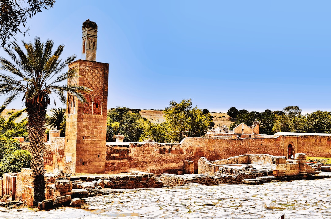 Chellah: Römische Ruinen und Störche in Rabat - 254H+HVC | Secret World Trip Planner