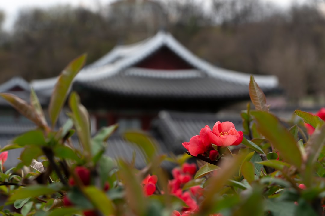 Gyeonghuigung: il palazzo silenzioso di Seoul - Jongno District | Secret World Trip Planner
