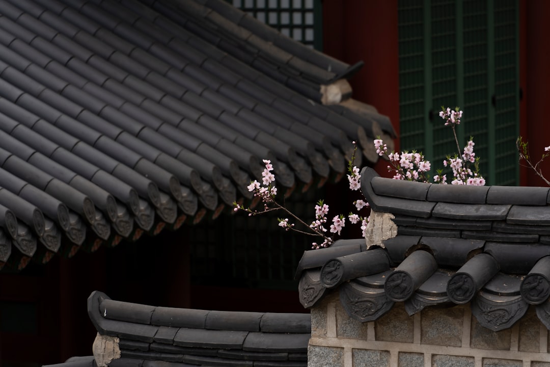 Gyeonghuigung: Der stille Palast von Seoul — Jongno District