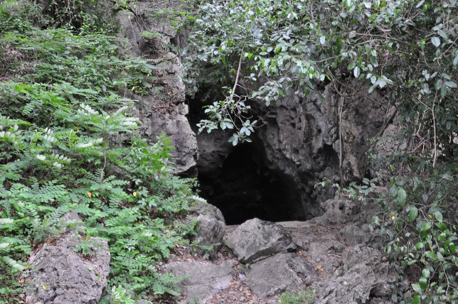Killing Cave: A Journey Through Memory and Nature in Cambodia — Krong Battambang