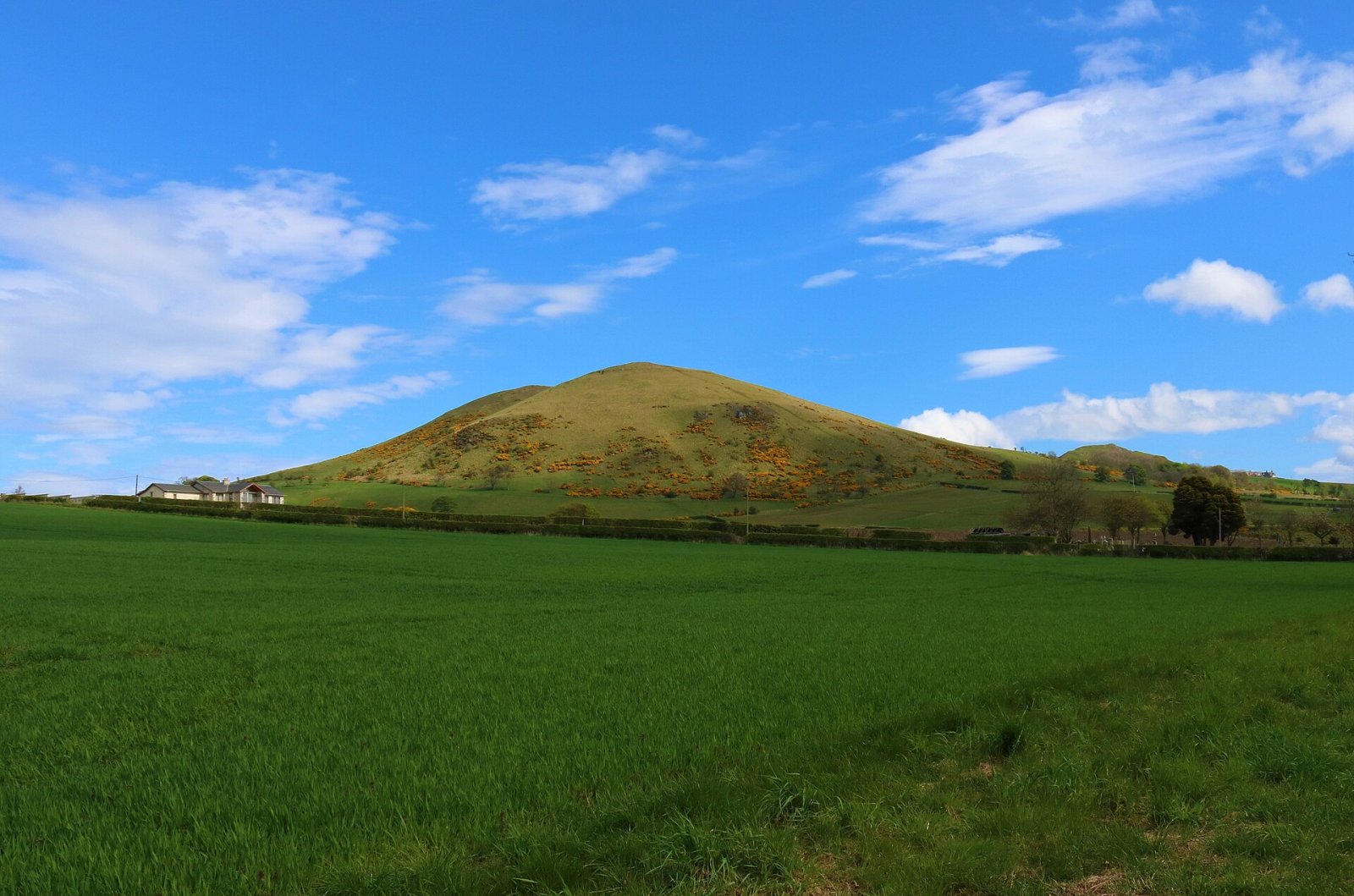 Scoprire Largo Law: Un Paradiso Naturale in Scozia — 63MF+HM Leven