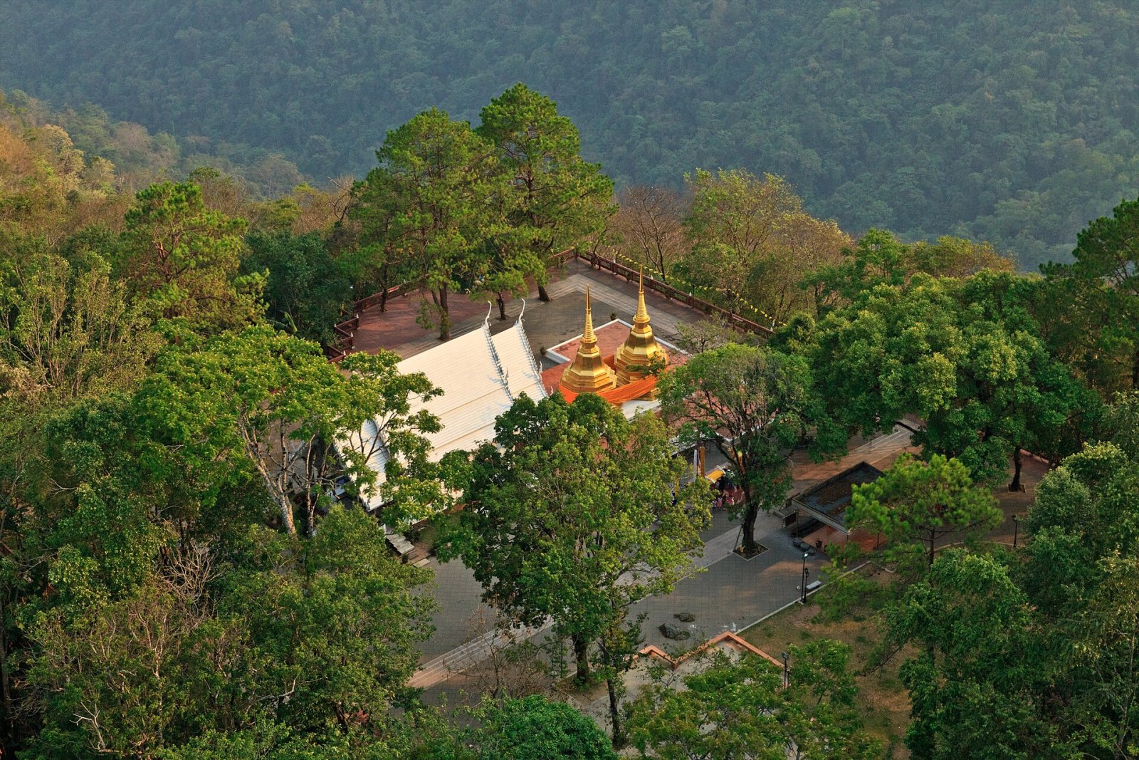 Scopri Doi Tung: la gemma nascosta della Thailandia - Mae Sai District | Secret World Trip Planner