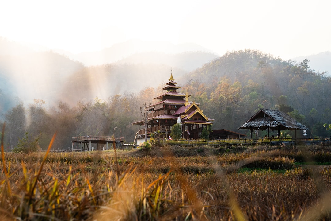 Discover Doi Tung: the Hidden Gem of Thailand — Mae Sai District