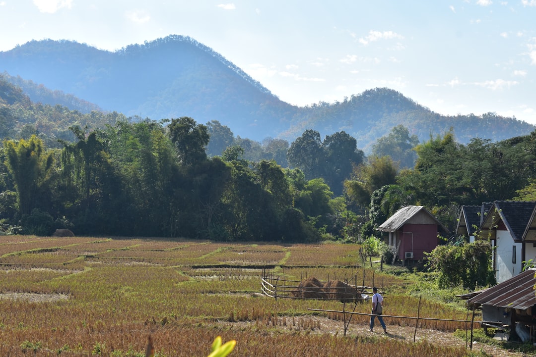 Entdecke Doi Tung: das versteckte Juwel Thailands - Mae Sai District | Secret World Trip Planner