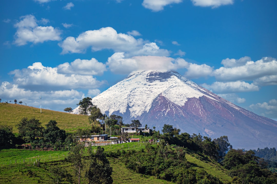 Discover Monte Amarillo: A Natural Gem in Ecuador - Pagran | Secret World Trip Planner