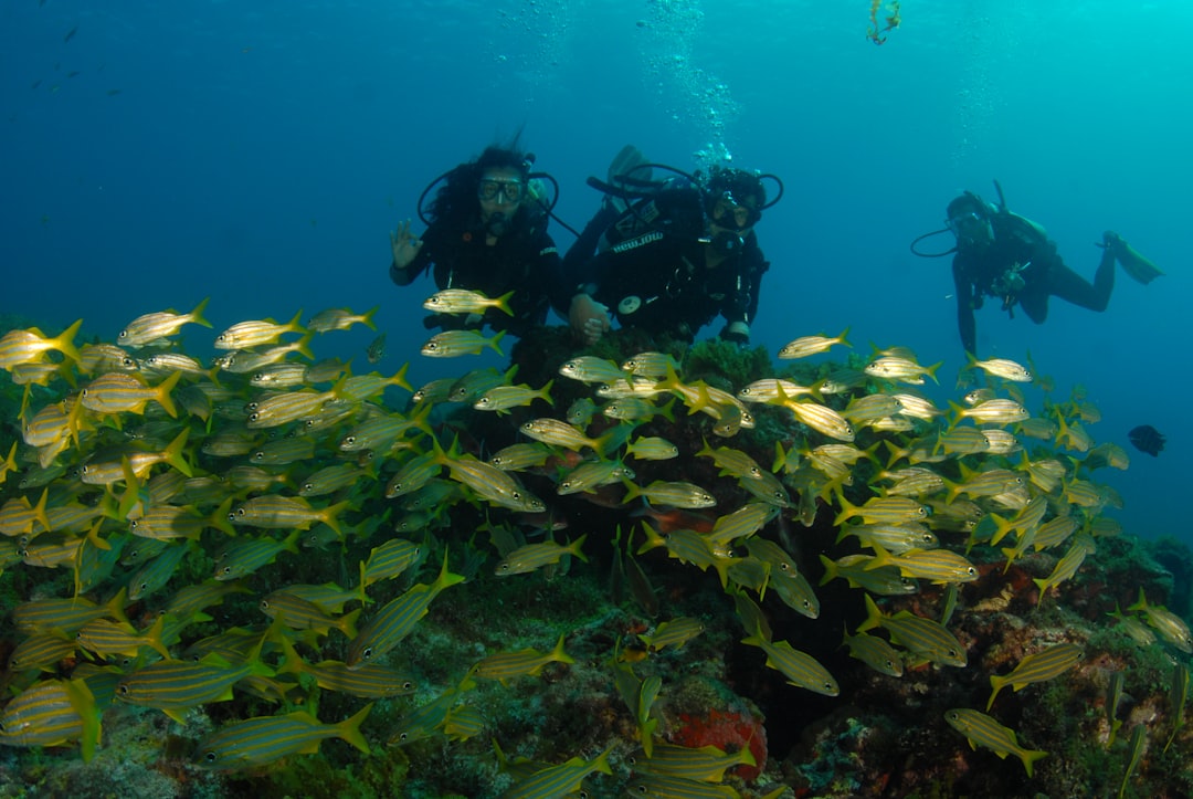 Fernando de Noronha: l'arcipelago vulcanico del Brasile - Pernambuco | Secret World Trip Planner