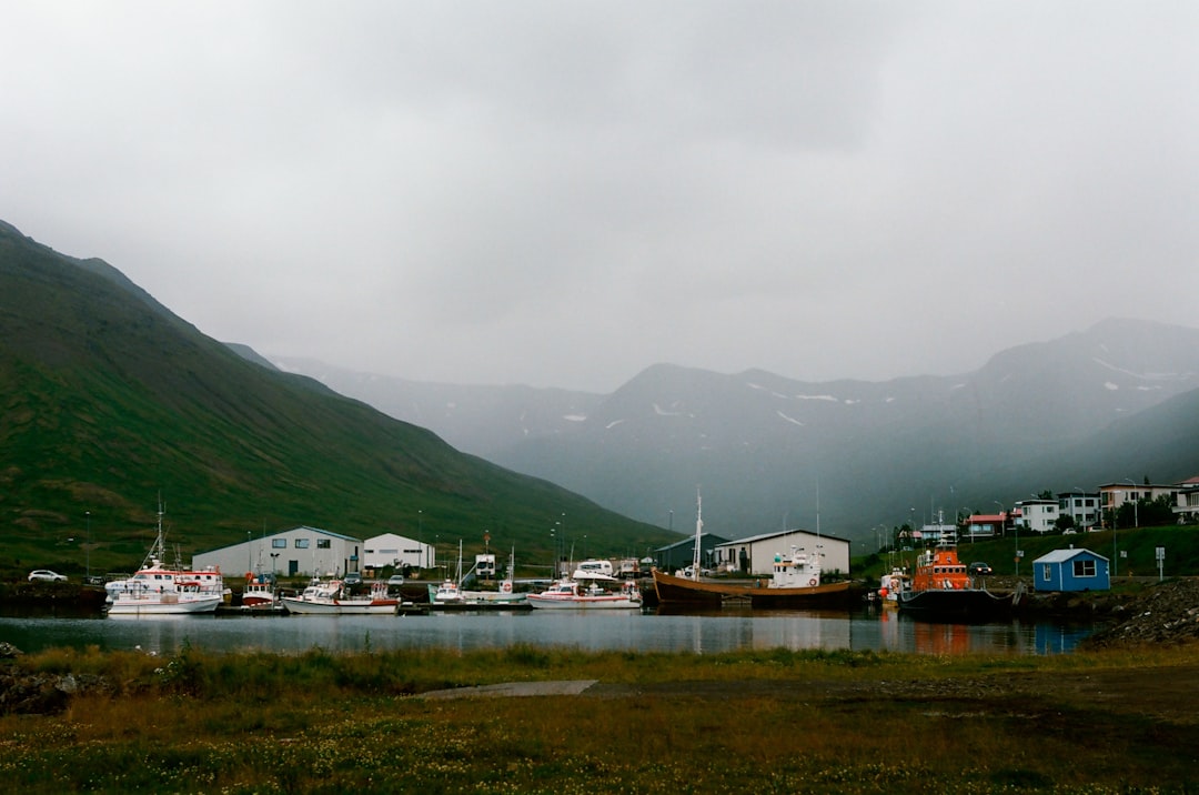 Murals und Heringe in Siglufjörður: Kunst am Fjord — Snorragata 10
