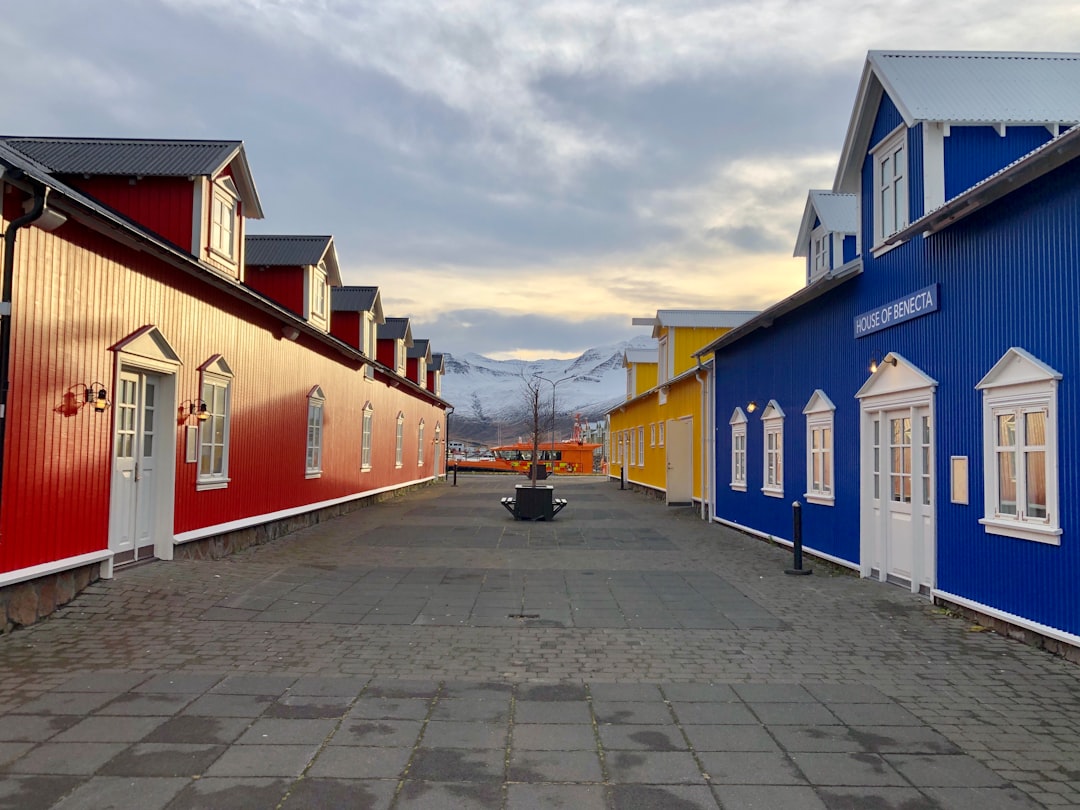 Murals und Heringe in Siglufjörður: Kunst am Fjord - Snorragata 10 | Secret World Trip Planner
