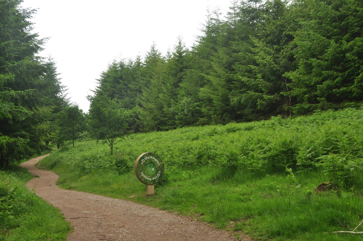 Skulpturenweg im Forest of Dean: Kunst im alten Wald - Speech House Rd | Secret World Trip Planner