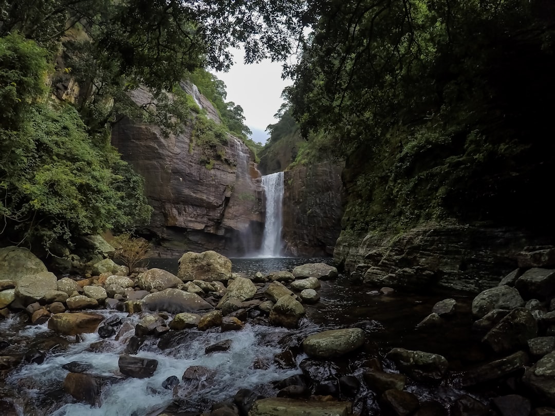 Scopri Knuckles: il paradiso naturale dello Sri Lanka - Kandy | Secret World Trip Planner