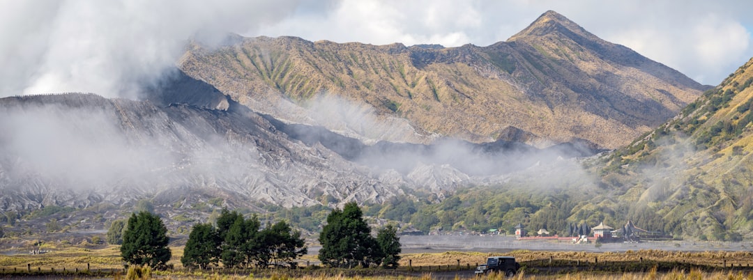 Mountain Gorillas in Kinigi: Trekking in Volcano Park - GHWP+JFM | Secret World Trip Planner