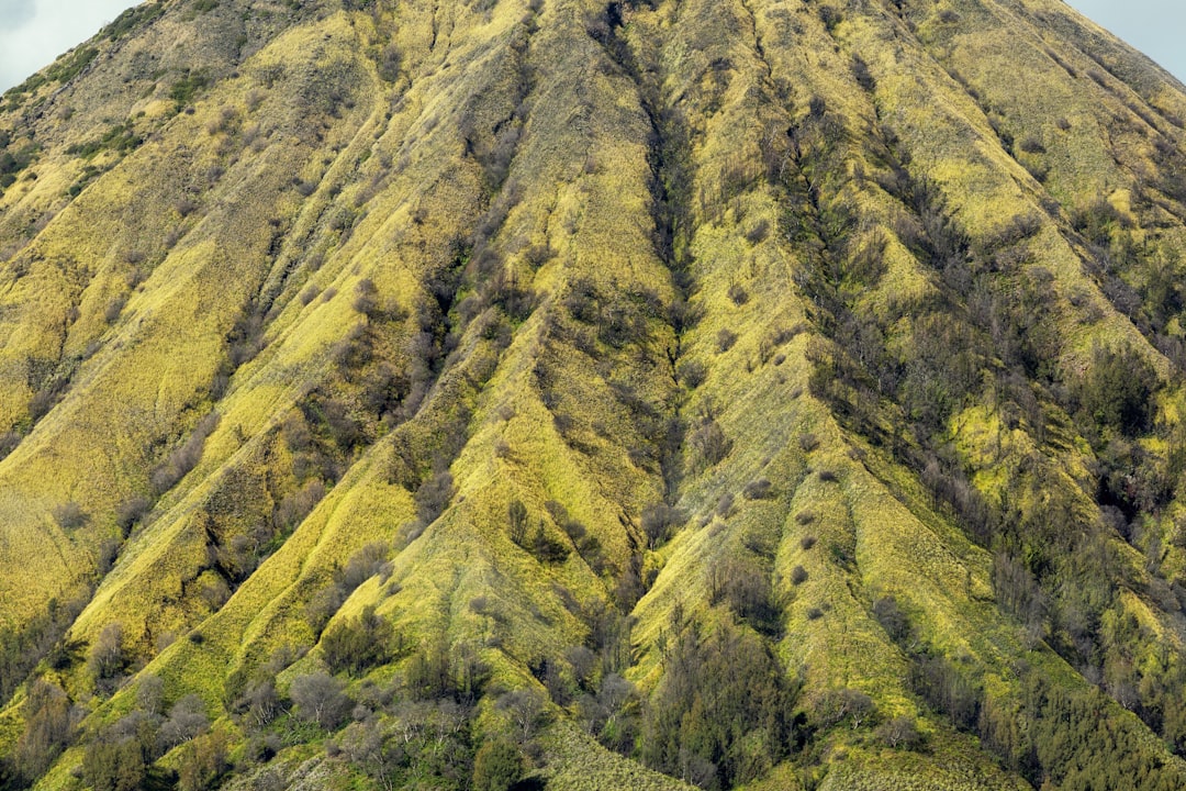 Mountain Gorillas in Kinigi: Trekking in Volcano Park - GHWP+JFM | Secret World Trip Planner