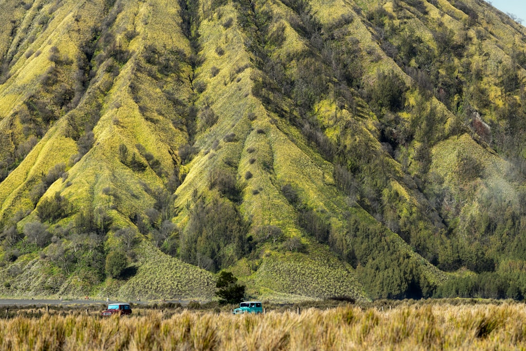Mountain Gorillas in Kinigi: Trekking in Volcano Park - GHWP+JFM | Secret World Trip Planner