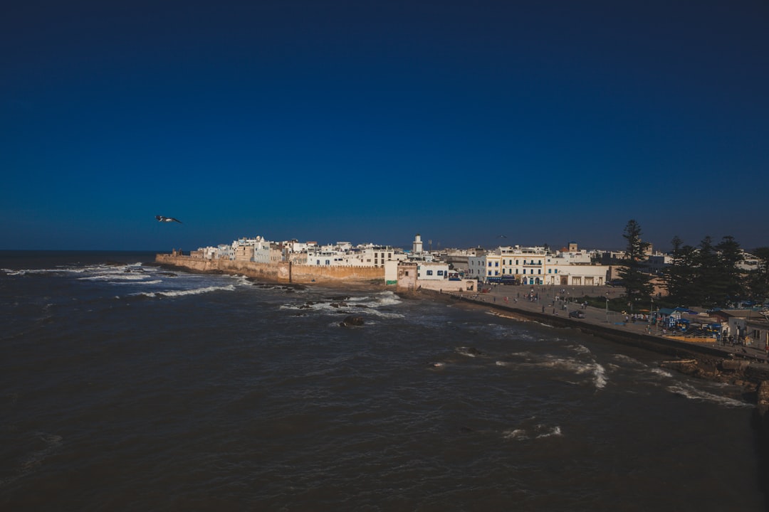 Essaouira Markets: Wood, Wind, and Blue Spices - Medina of Essaouira | Secret World Trip Planner