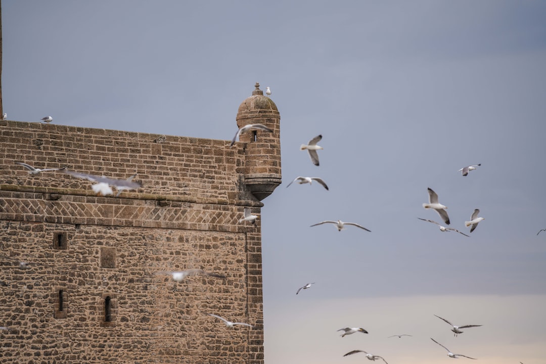 Essaouira Markets: Wood, Wind, and Blue Spices - Medina of Essaouira | Secret World Trip Planner