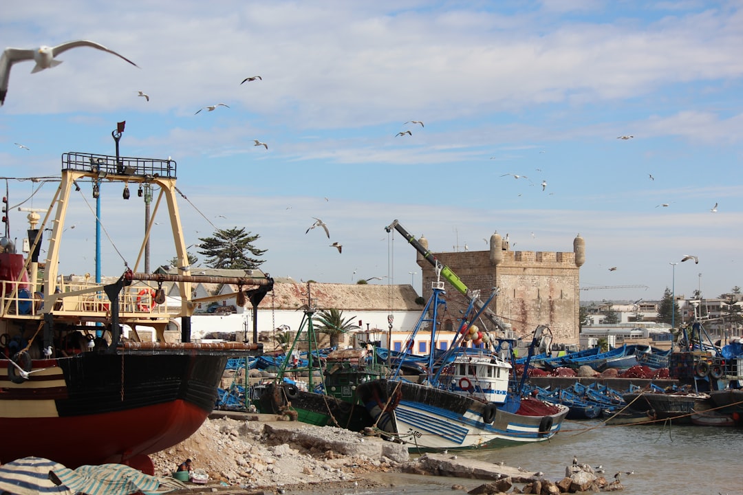 Essaouira Markets: Wood, Wind, and Blue Spices - Medina of Essaouira | Secret World Trip Planner