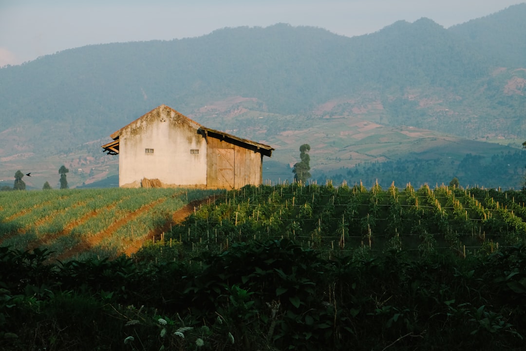 Tabak und Mogotes: Benitos Farm in Viñales — J77M+7RC