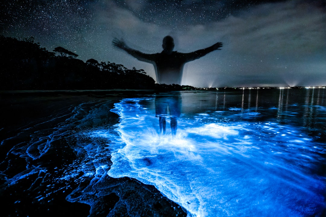 Vieques Bioluminescent Bay: Light in the Water - Vieques 00765 | Secret World Trip Planner