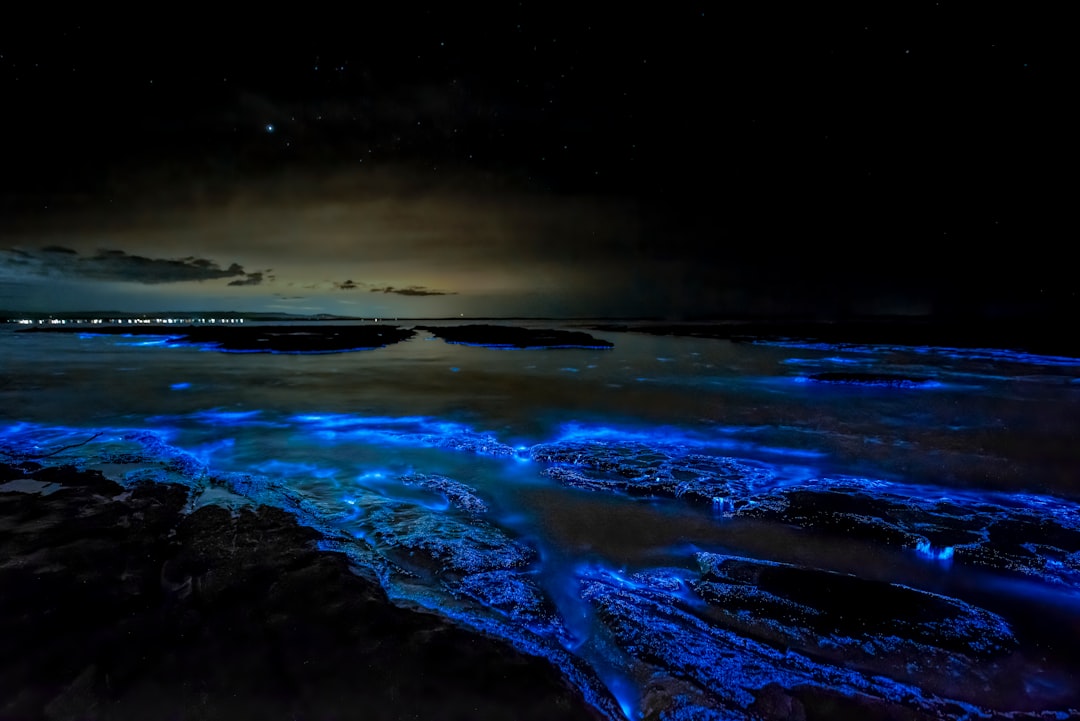 Biolumineszente Bucht von Vieques: Licht im Wasser — Vieques 00765