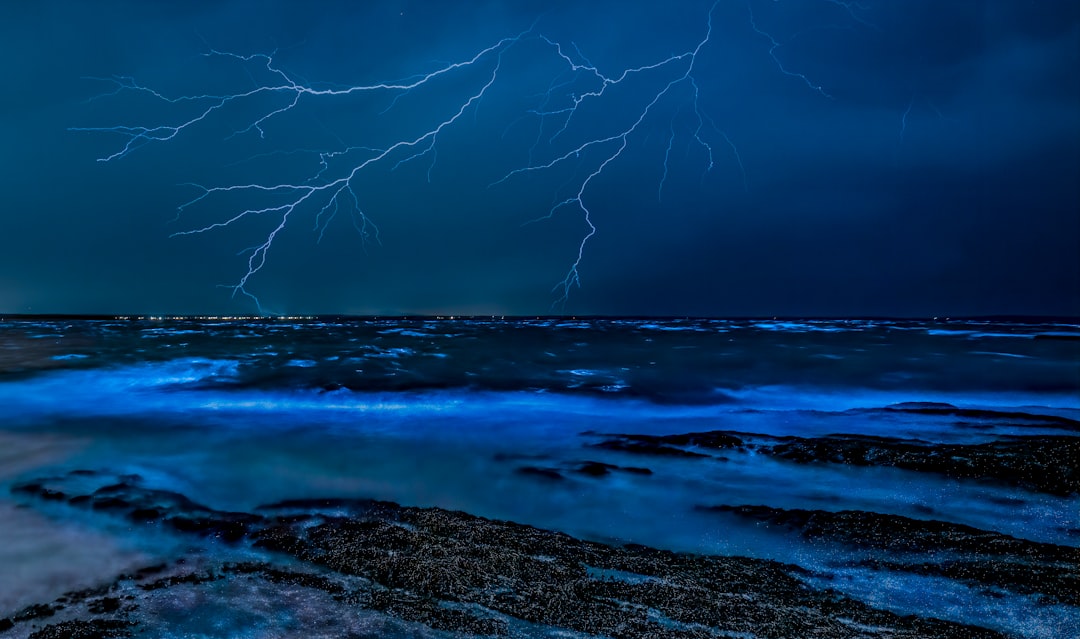 Biolumineszente Bucht von Vieques: Licht im Wasser - Vieques 00765 | Secret World Trip Planner