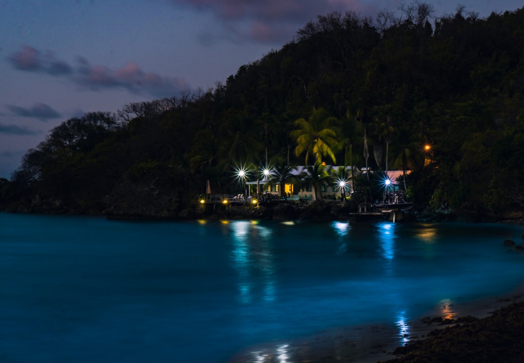 Biolumineszente Bucht von Vieques: Licht im Wasser - Vieques 00765 | Secret World Trip Planner