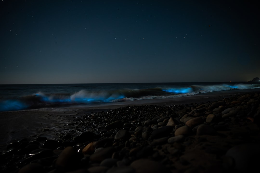 Biolumineszente Bucht von Vieques: Licht im Wasser - Vieques 00765 | Secret World Trip Planner