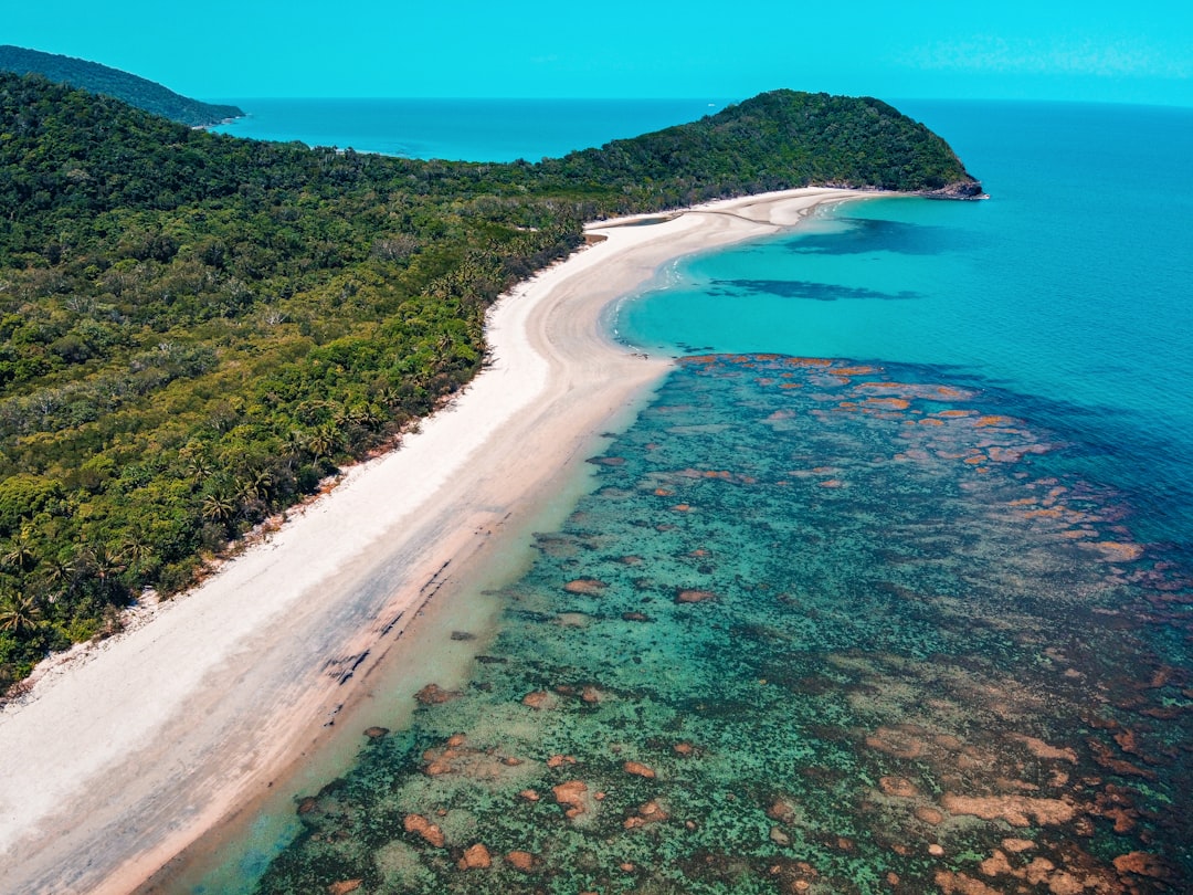 Daintree Forest: Stunning Views of Forest and Reef — 2333 Cape Tribulation Rd