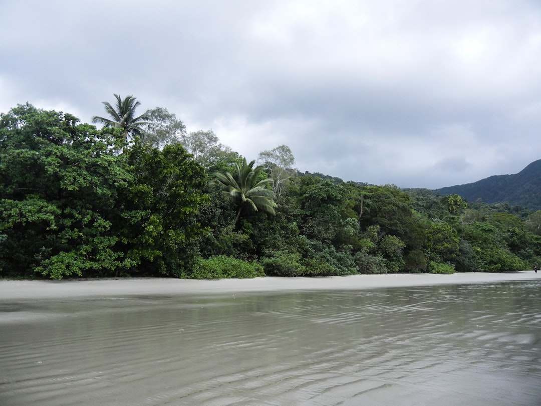 Daintree Forest: Stunning Views of Forest and Reef - 2333 Cape Tribulation Rd | Secret World Trip Planner