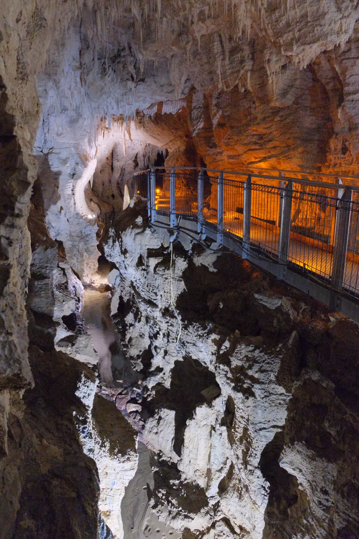 Ruakuri: Die leuchtenden Muschel-Höhlen in Waitomo — Ruakuri Mağarası