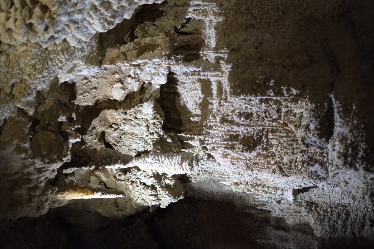 Ruakuri: Die leuchtenden Muschel-Höhlen in Waitomo - Ruakuri Mağarası | Secret World Trip Planner