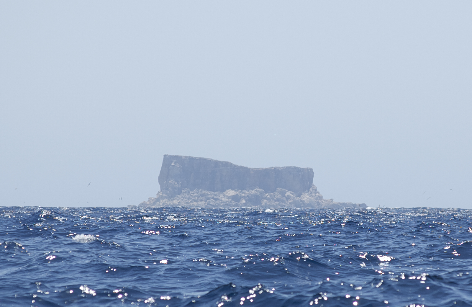 Entdecke Filfla: das natürliche Juwel im Süden Maltas - Siġġiewi | Secret World Trip Planner