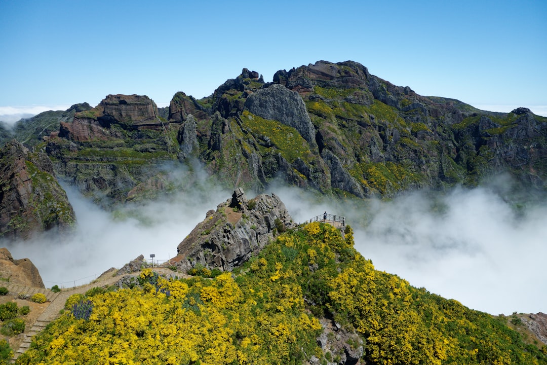 Pico do Fogo: Trekking the Active Volcano of Cape Verde - Pico do Fogo | Secret World Trip Planner