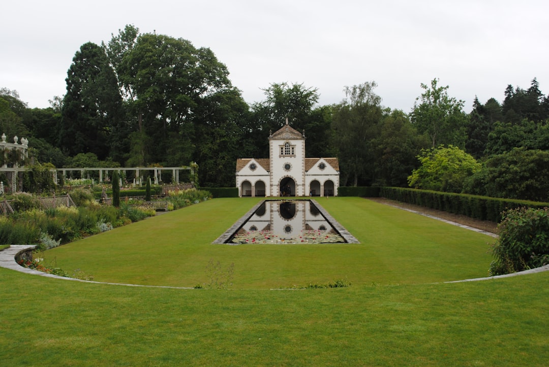 Bodnant Garden: Der goldene Glyzinientunnel in Wales — Tal-y-cafn