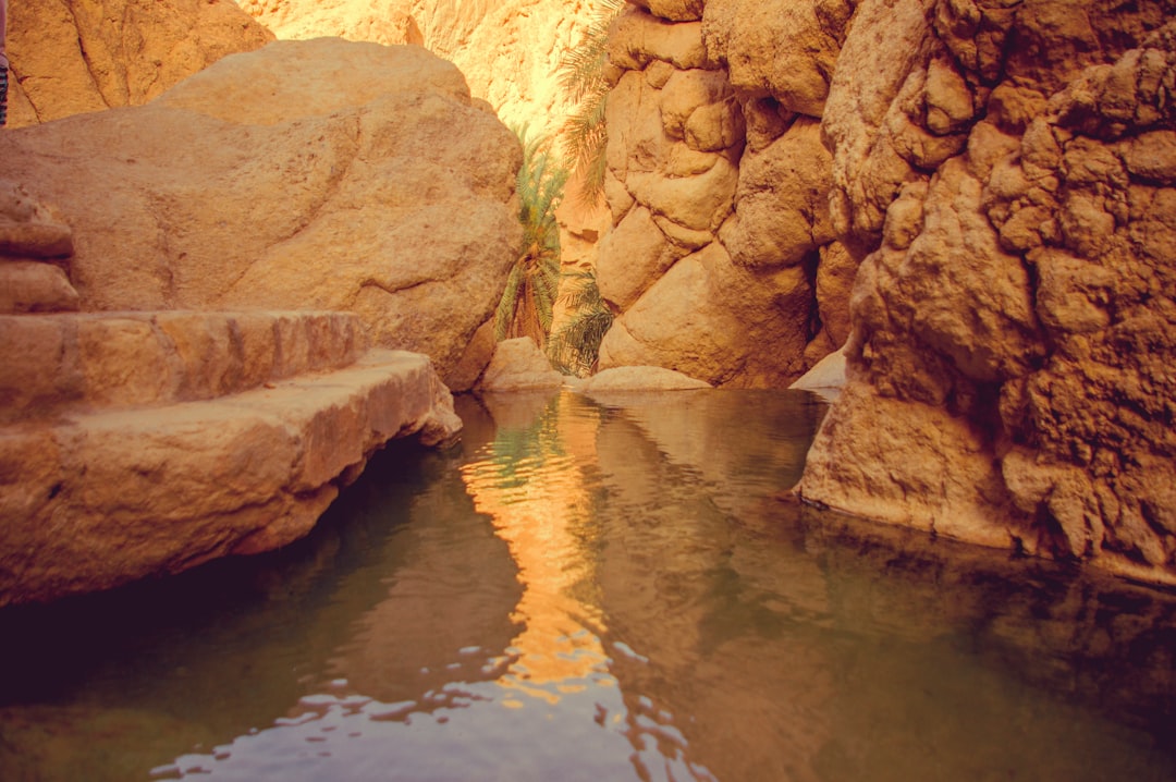 Wadi Bani Khalid: l'oasi cristallina dell'Oman orientale - Wadi Bani Khalid | Secret World Trip Planner