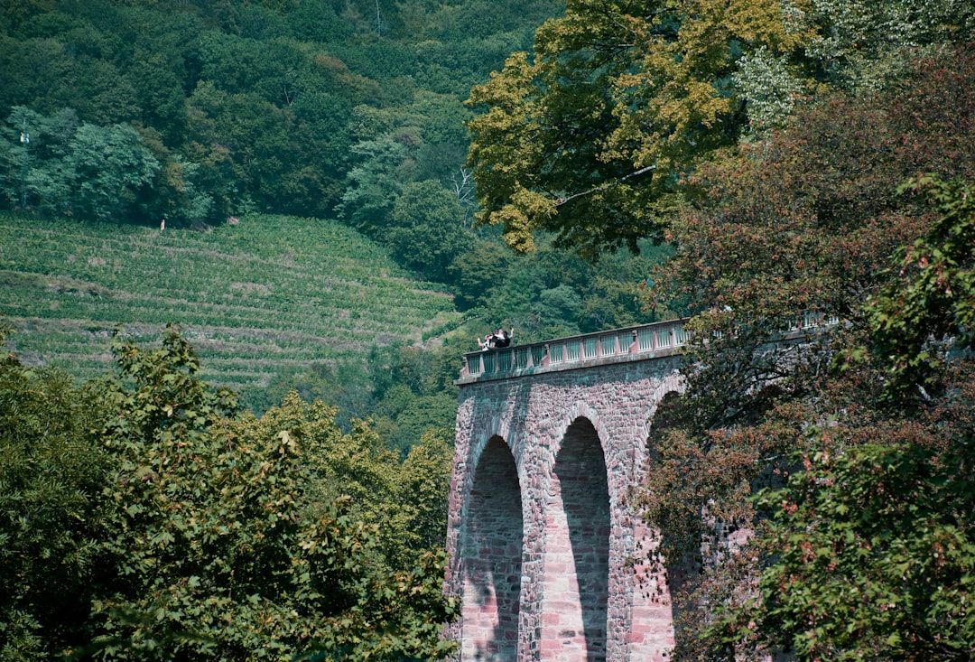 Der Teufelsbrücke in Gablenz: Ein perfekter Kreis - Halbendorfer Str. | Secret World Trip Planner